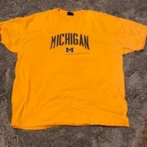 University of Michigan VTG